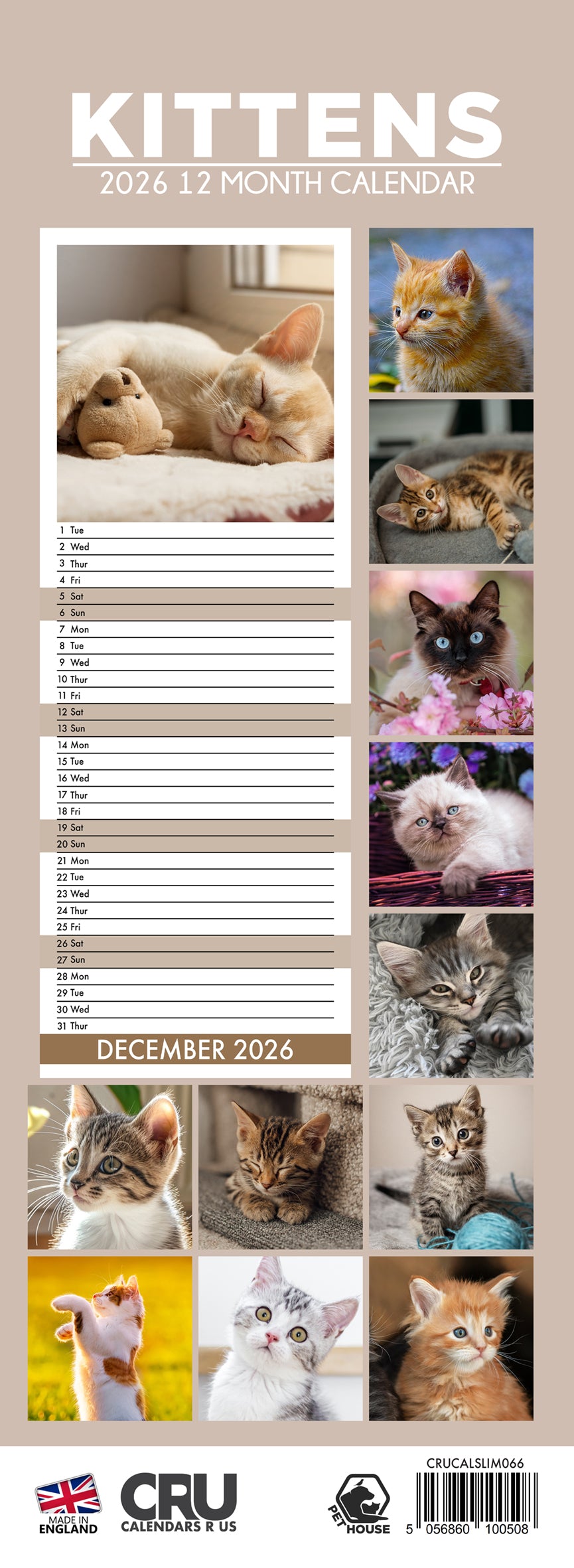 Kittens - Slim Calendar 2026