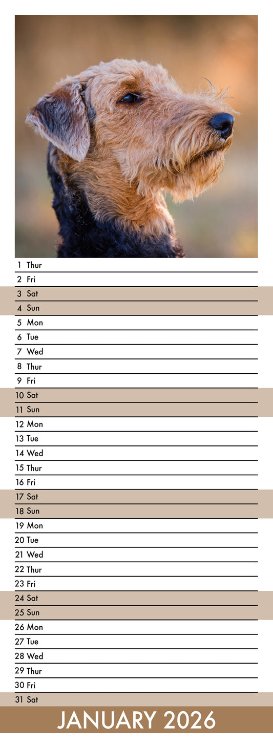 Airedale - Slim Calendar 2026