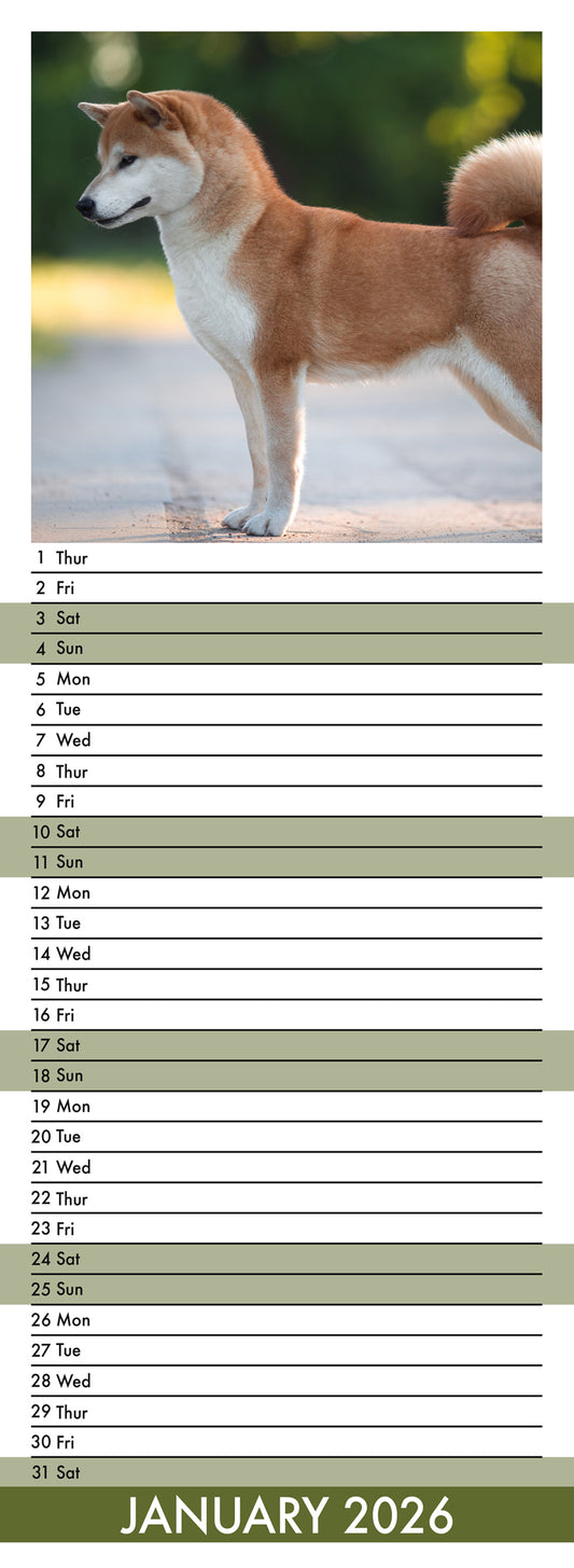 Akita - Slim Calendar 2026