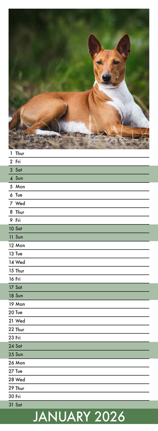 Basenji - Slim Calendar 2026