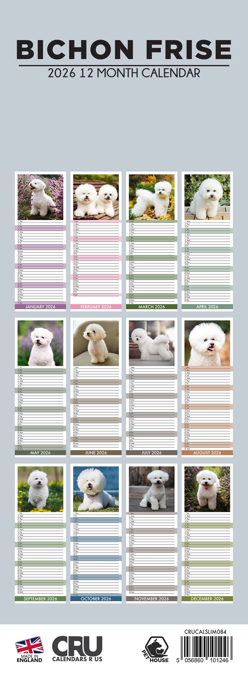 Bichon Frise - Slim Calendar 2026