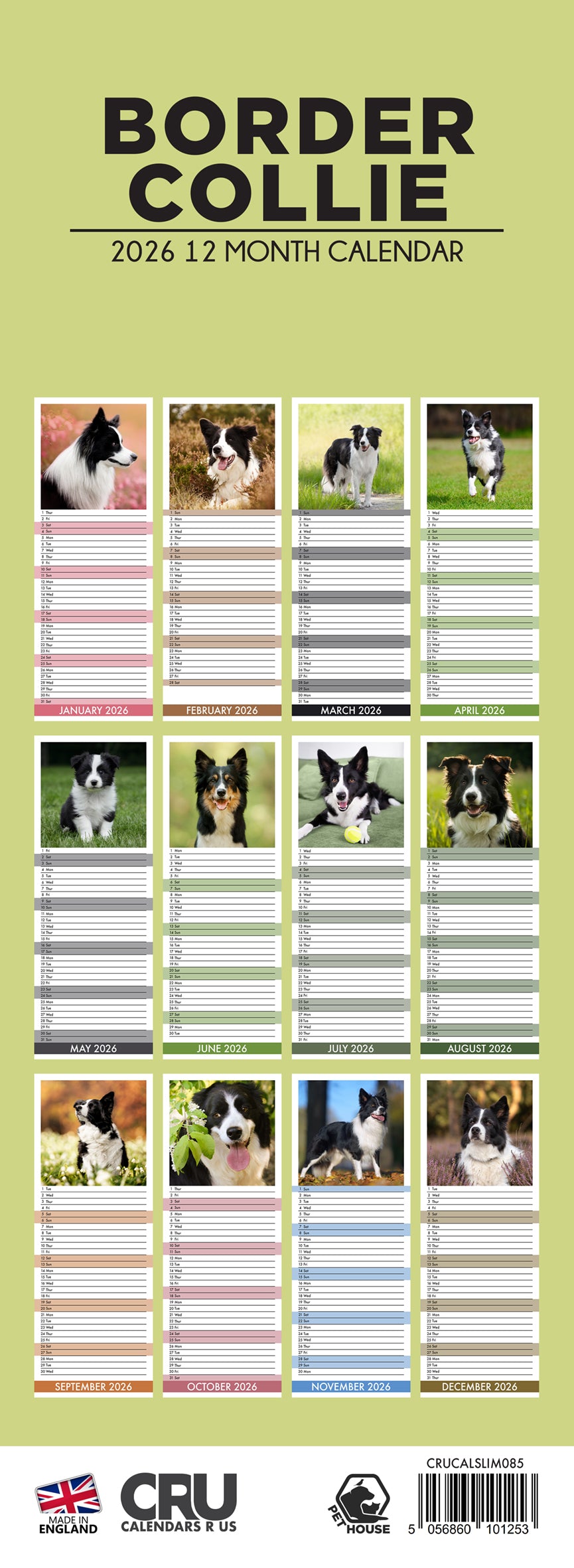 Border Collie - Slim Calendar 2026