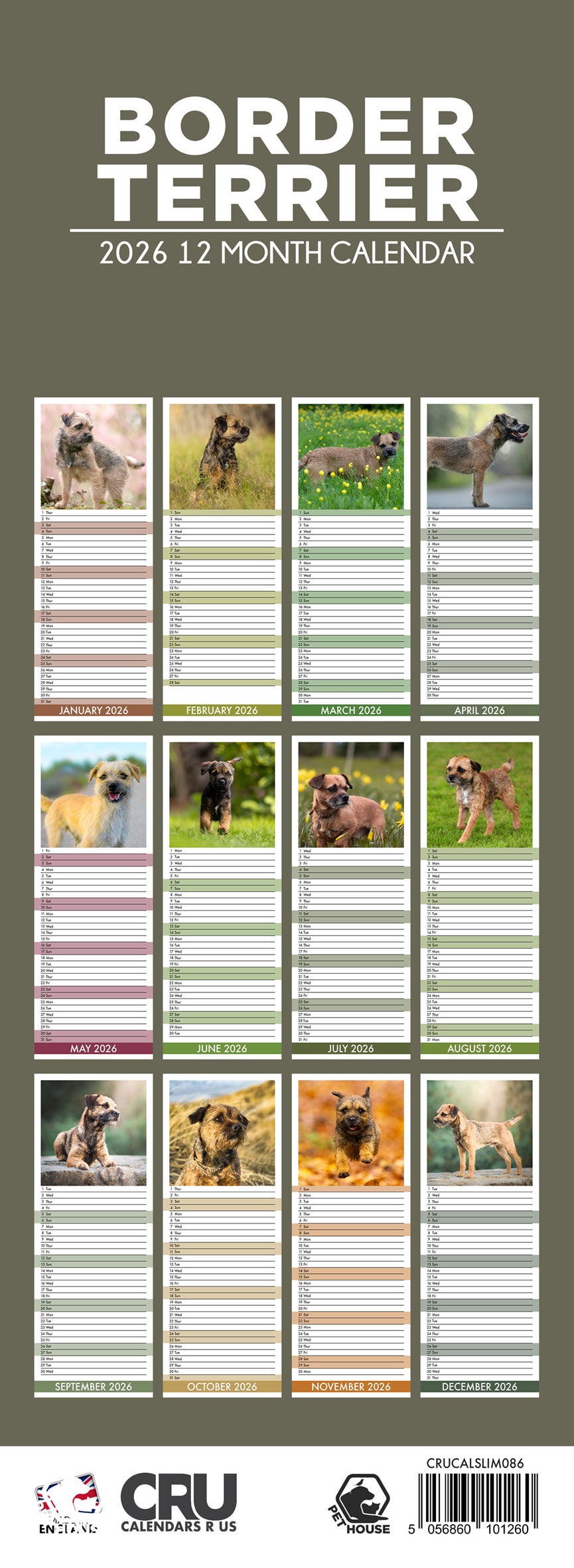 Border Terrier - Slim Calendar 2026