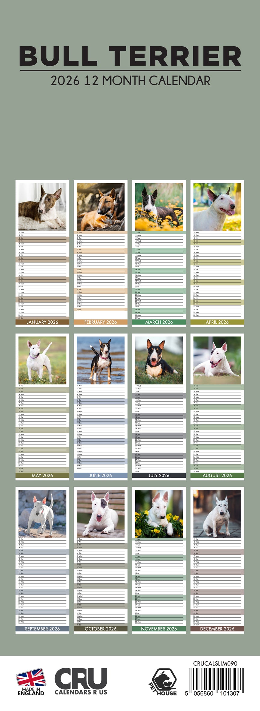 Bull Terrier - Slim Calendar 2026