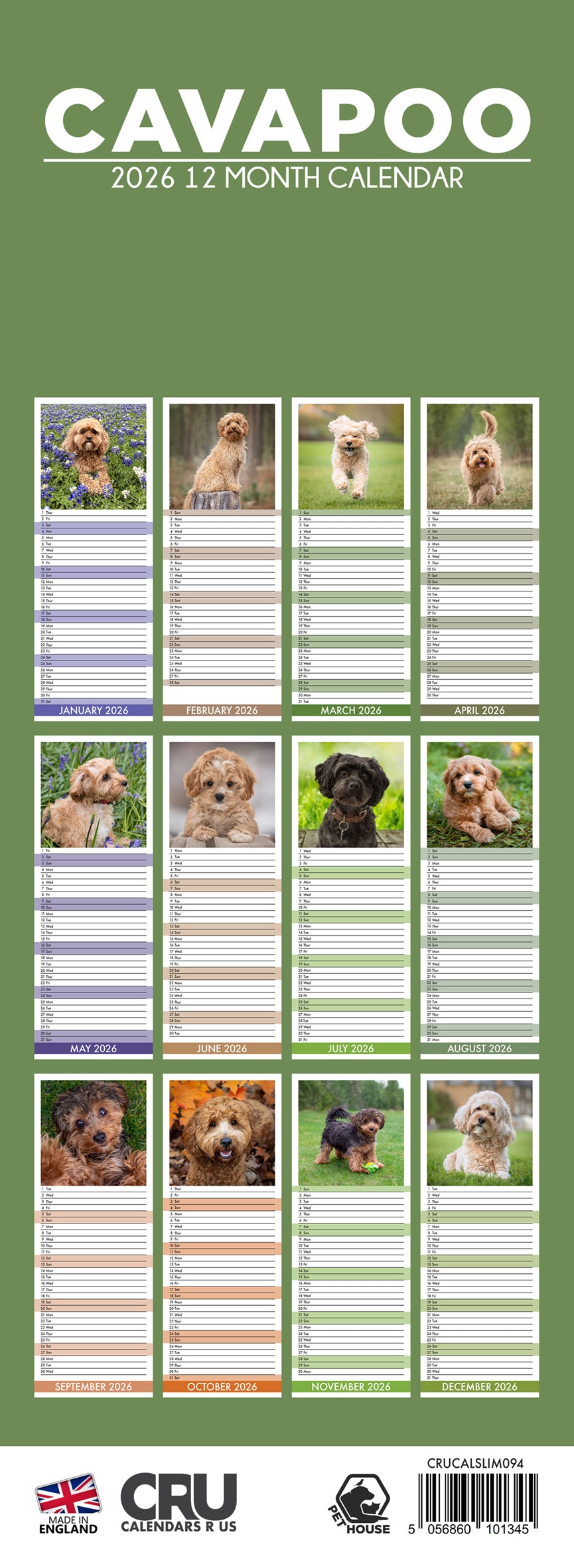 Cavapoo - Slim Calendar 2026