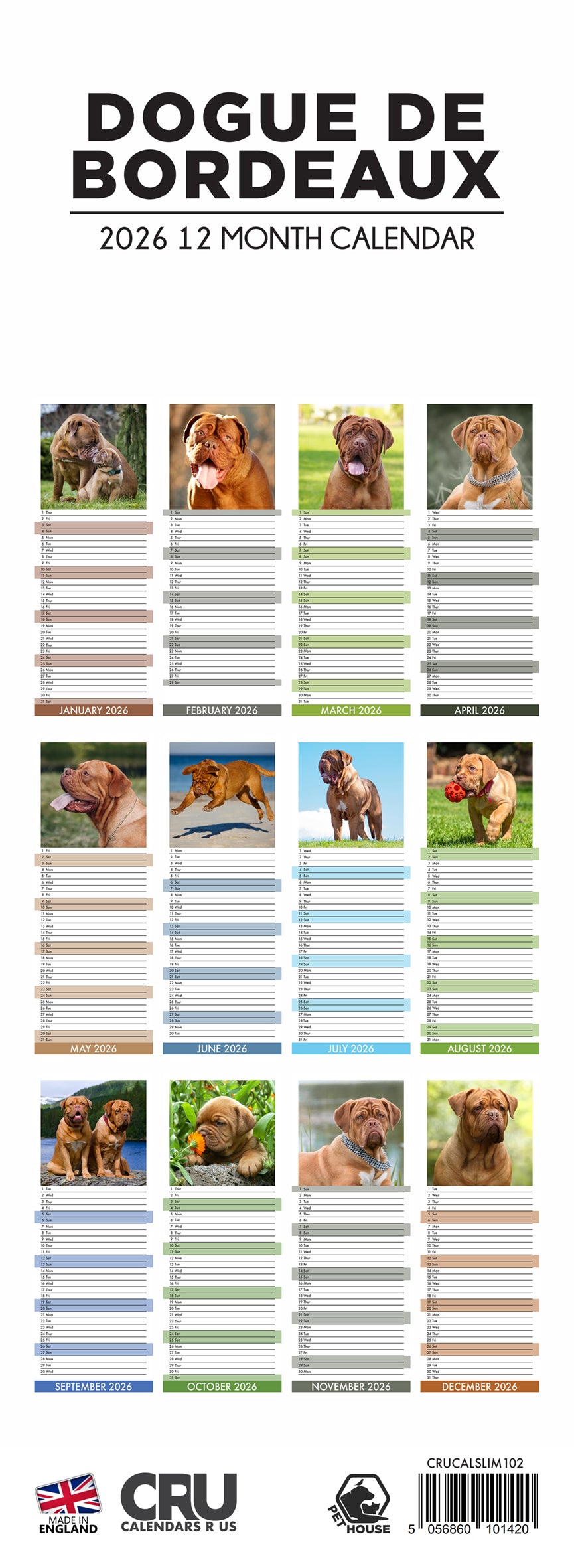 Dogue De Bordeaux - Slim Calendar 2026