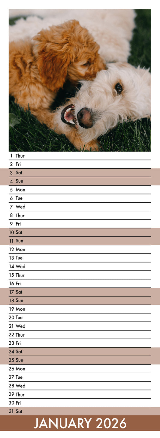 Goldendoodles - Slim Calendar 2026