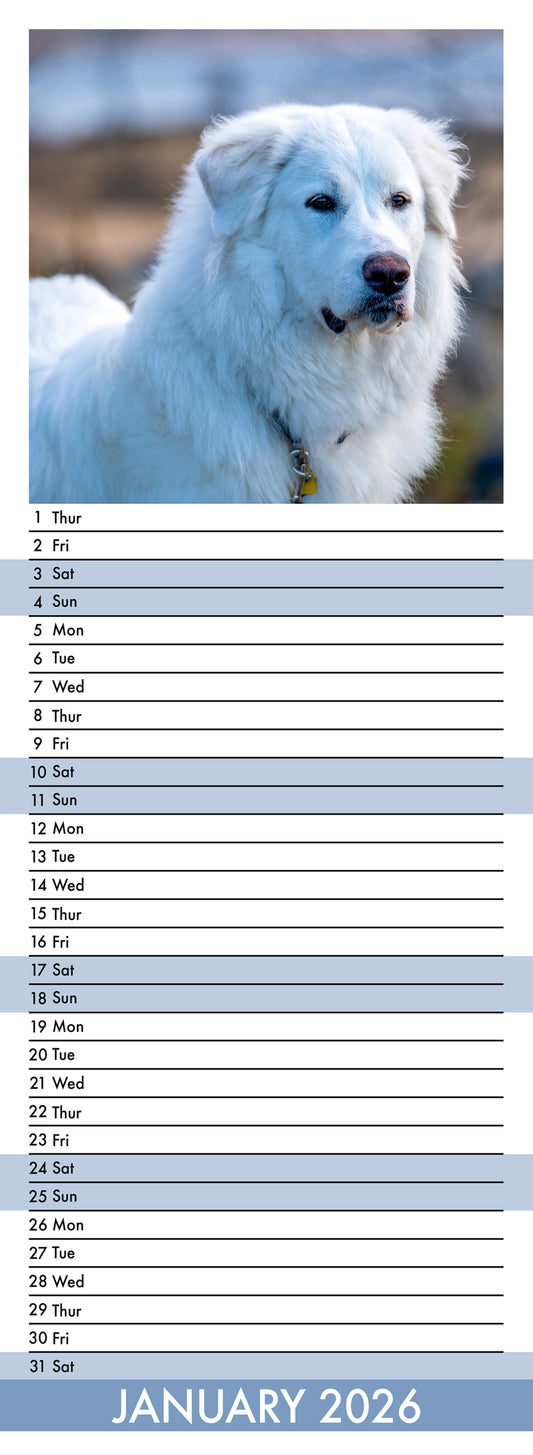 Great Pyrenees - Slim Calendar 2026