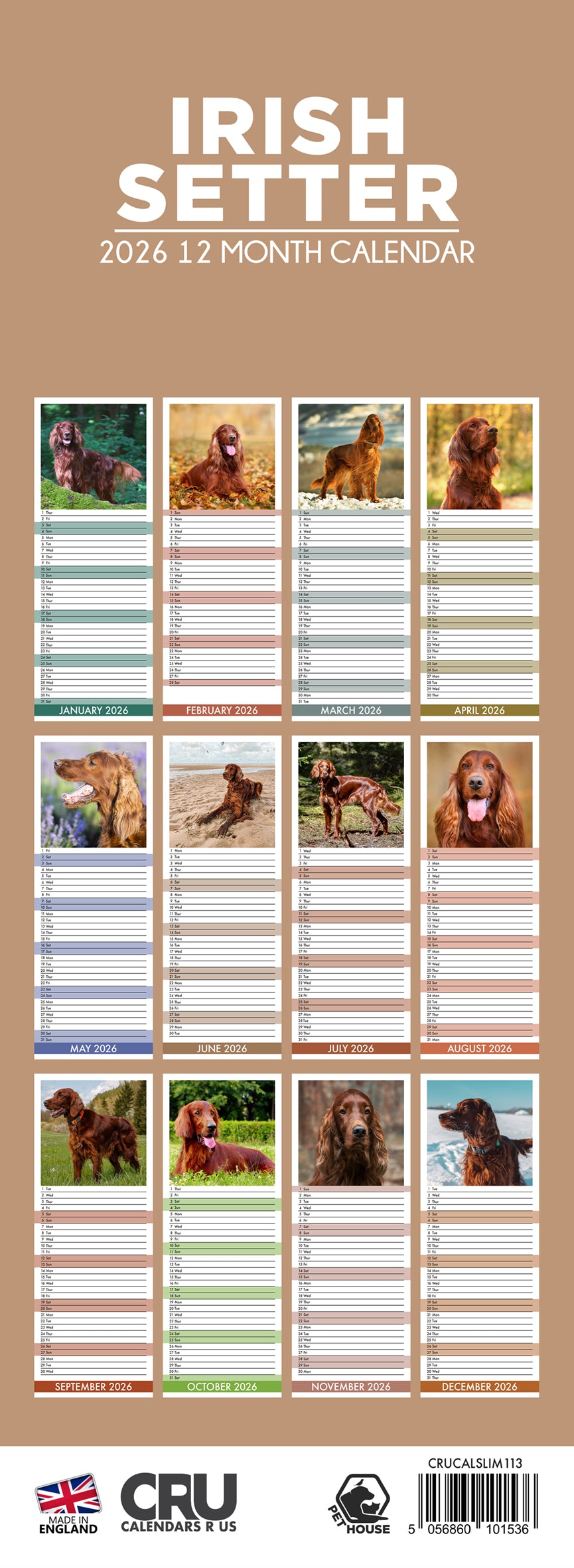 Irish Setter - Slim Calendar 2026