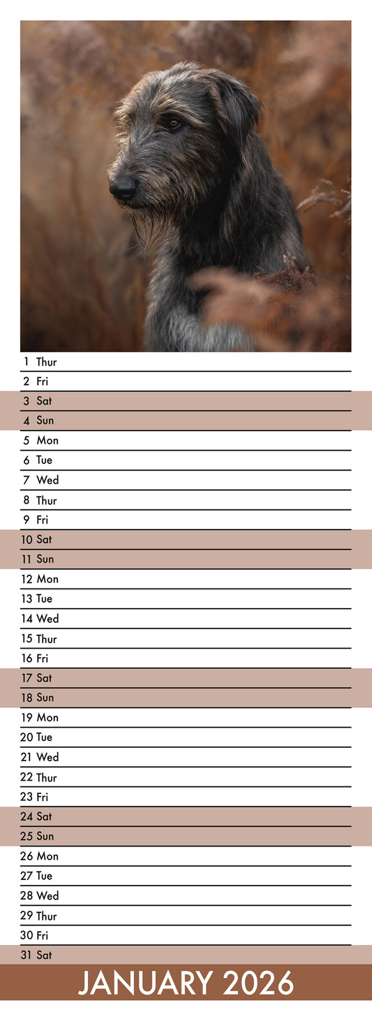 Irish Wolfhound - Slim Calendar 2026