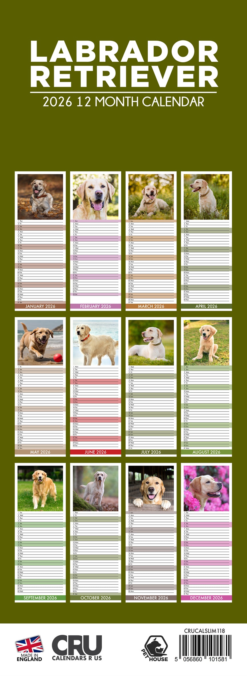Labrador Retriever - Slim Calendar 2026