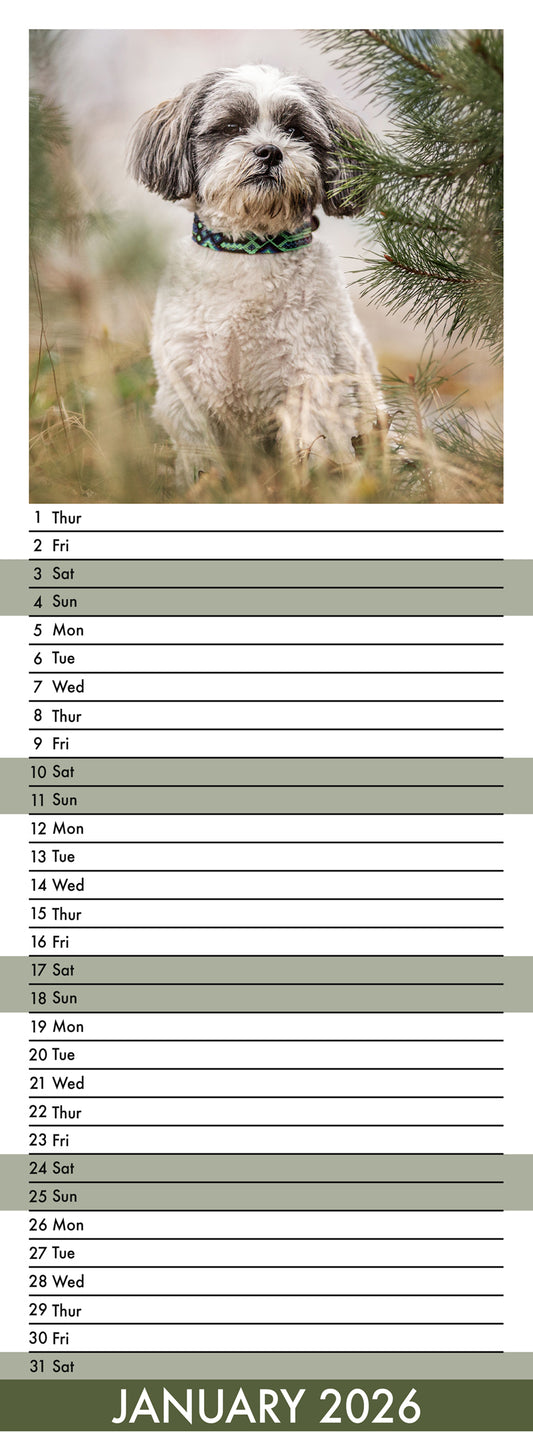 Lhasa Apso - Slim Calendar 2026