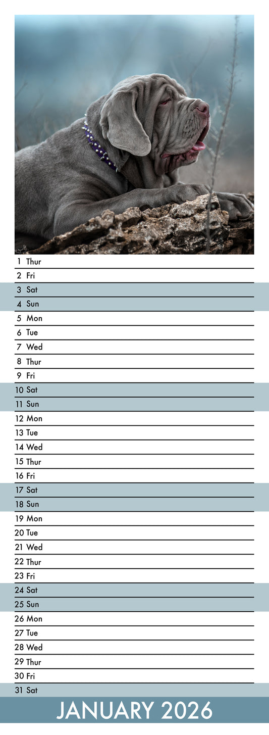 Mastiff - Slim Calendar 2026