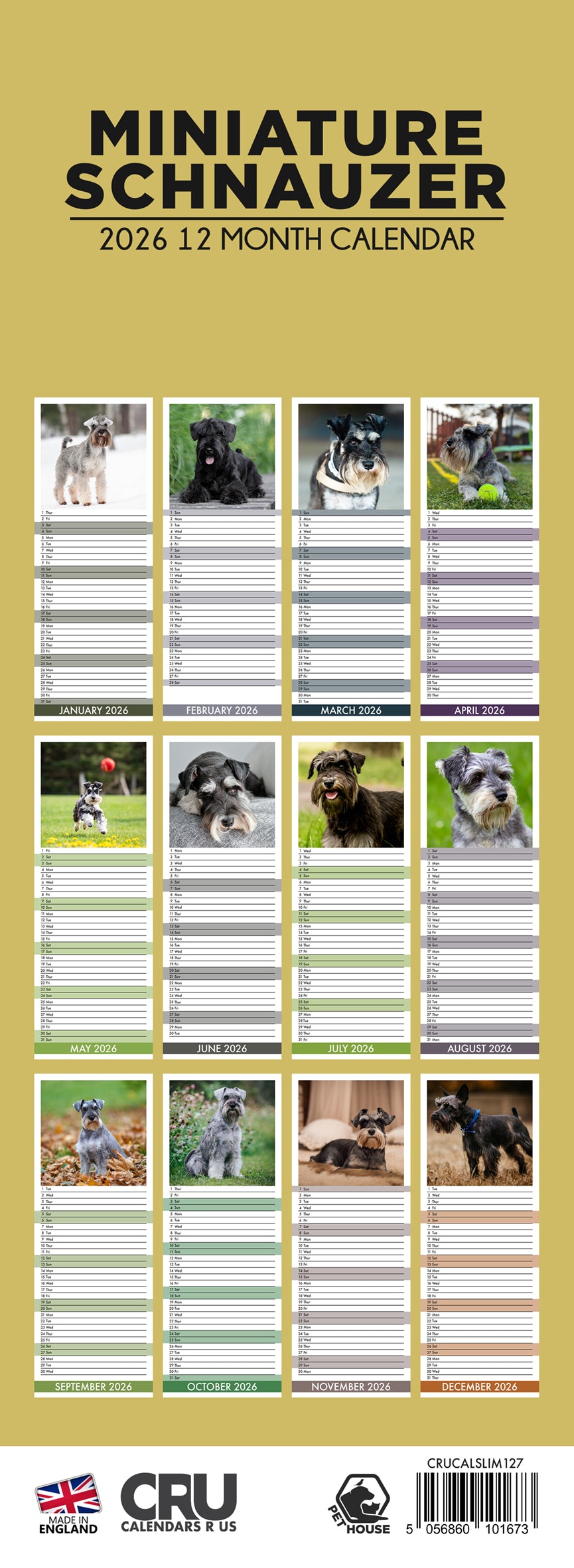 Miniature Schnauzer - Slim Calendar 2026