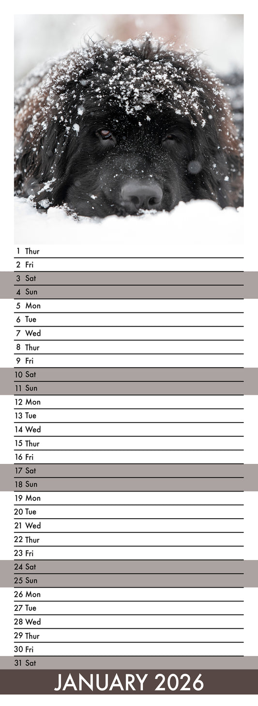 Newfoundland - Slim Calendar 2026