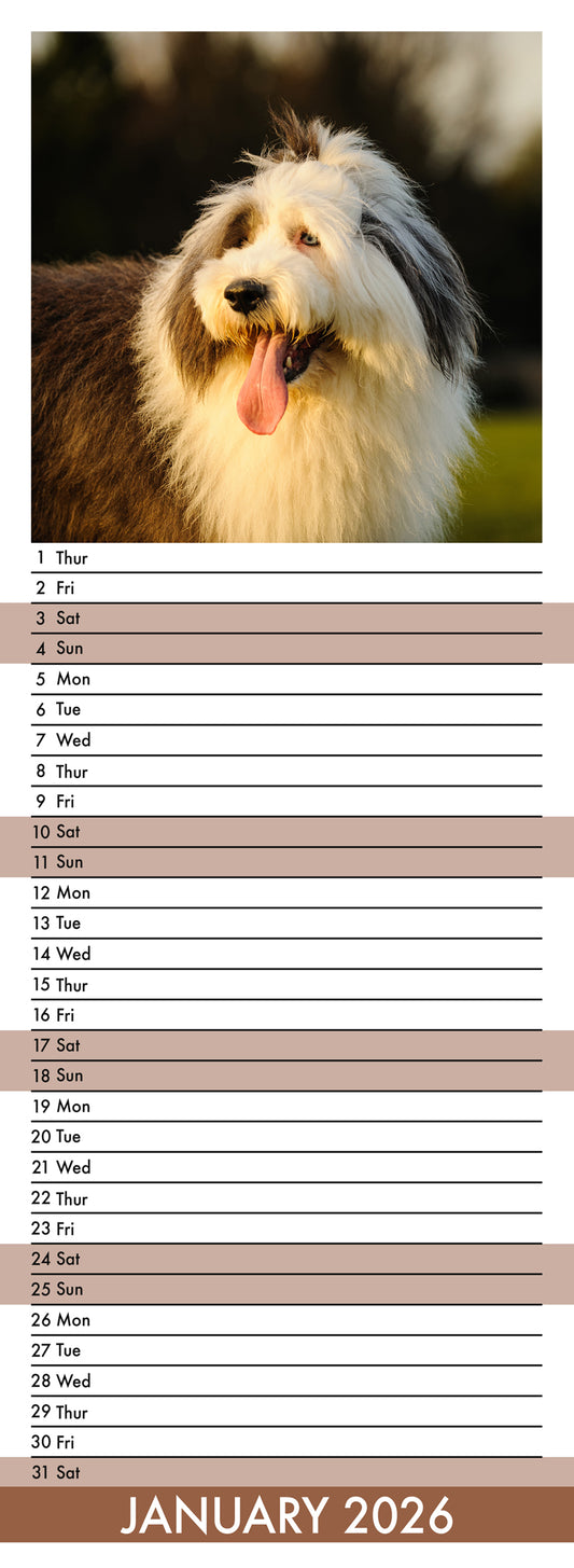 Old English Sheepdog - Slim Calendar 2026