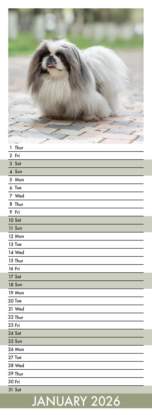 Pekingese - Slim Calendar 2026
