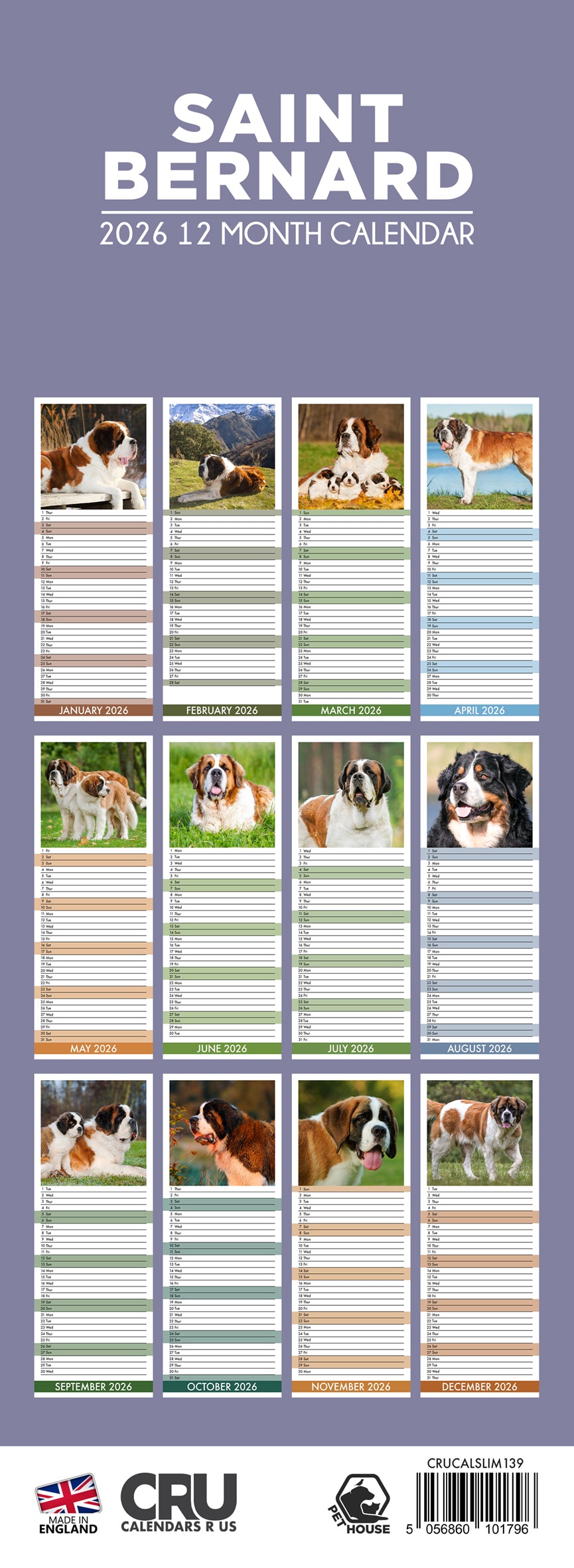 Saint Bernard - Slim Calendar 2026