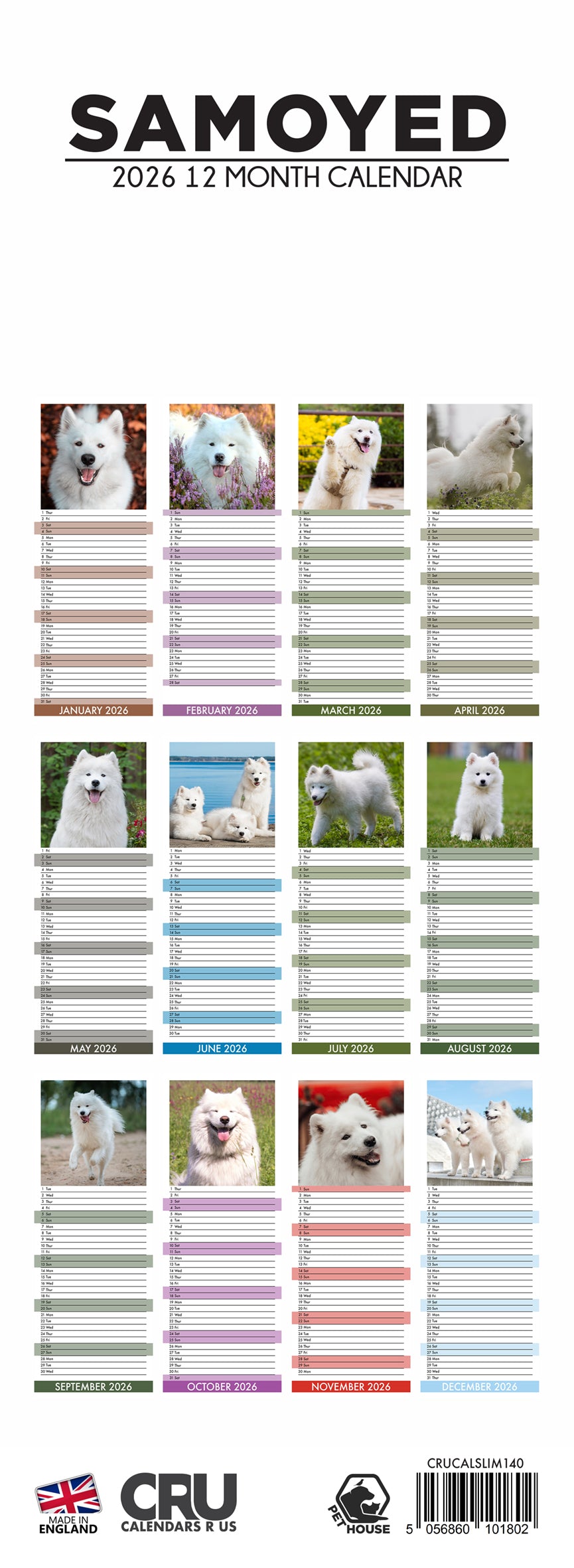 Samoyed - Slim Calendar 2026
