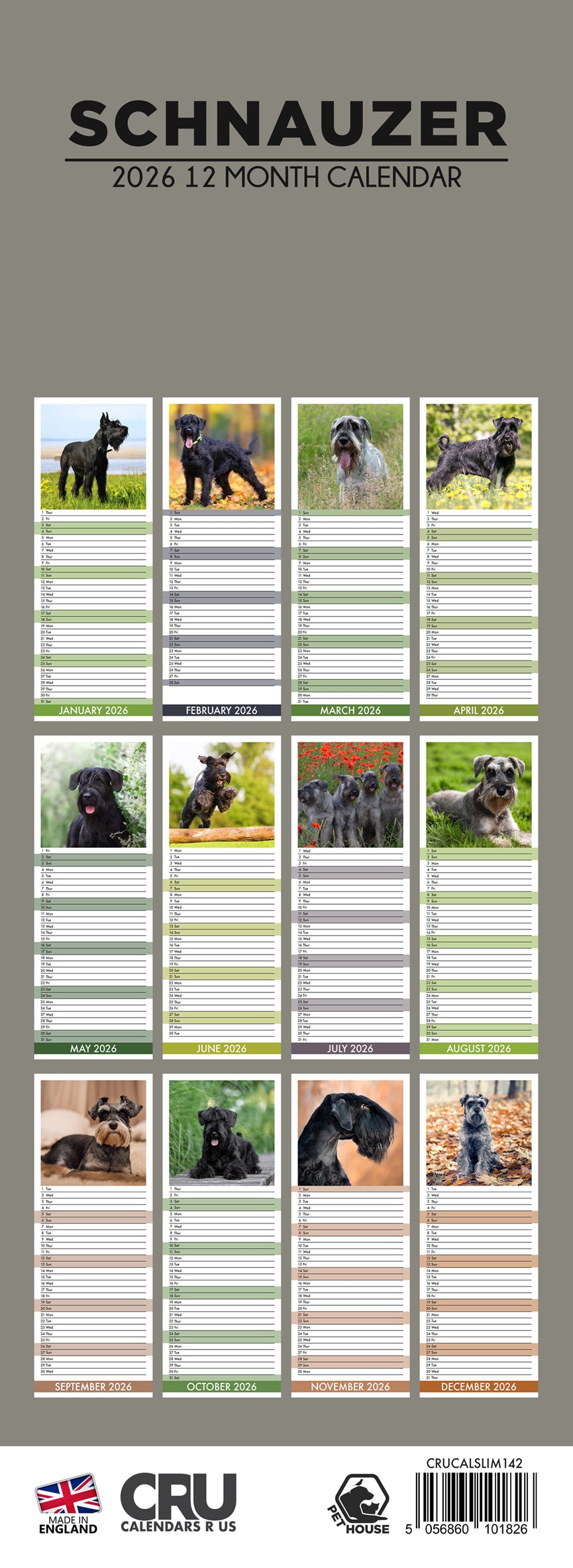 Schnauzer - Slim Calendar 2026