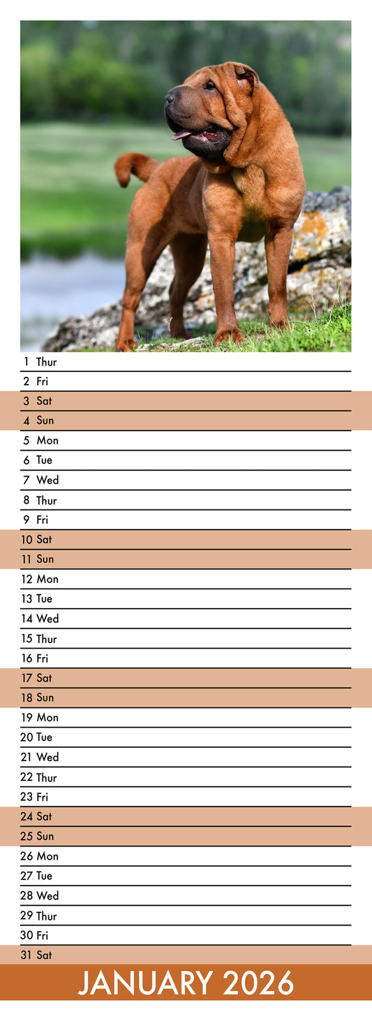Shar Pei - Slim Calendar 2026