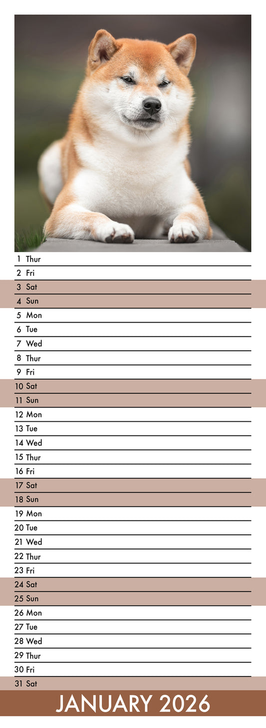 Shiba Inu - Slim Calendar 2026