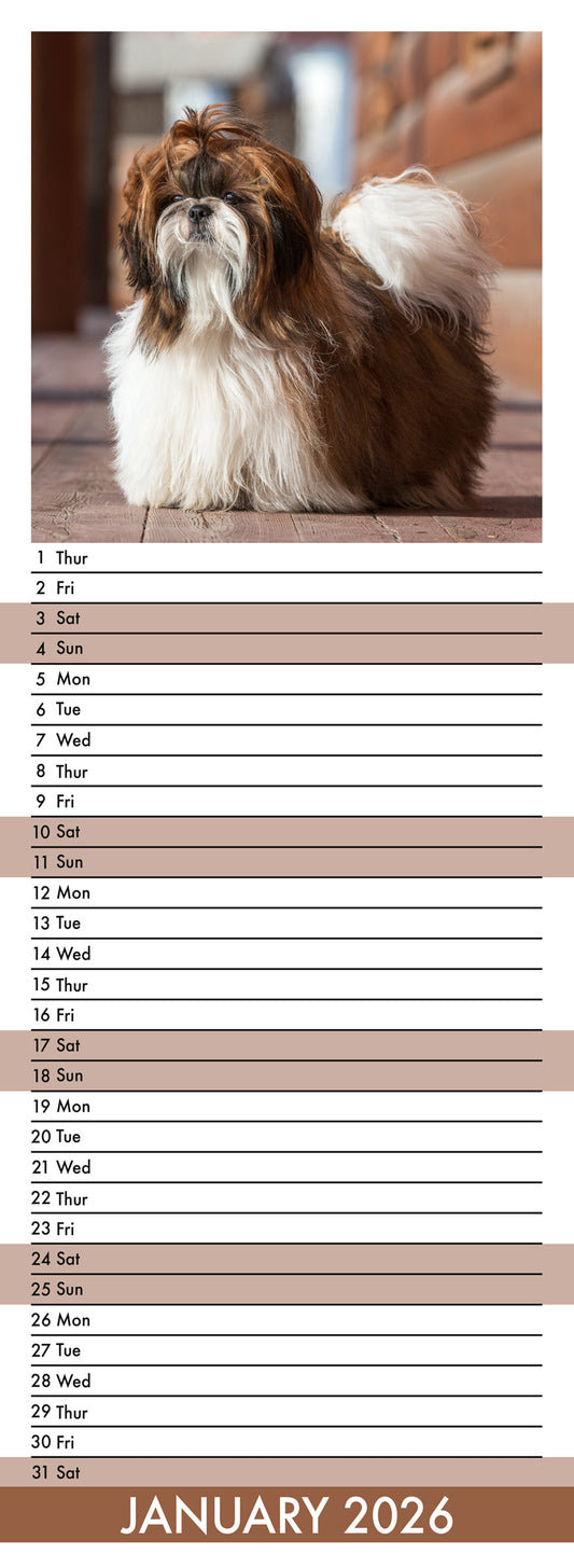 Shih Tzu - Slim Calendar 2026