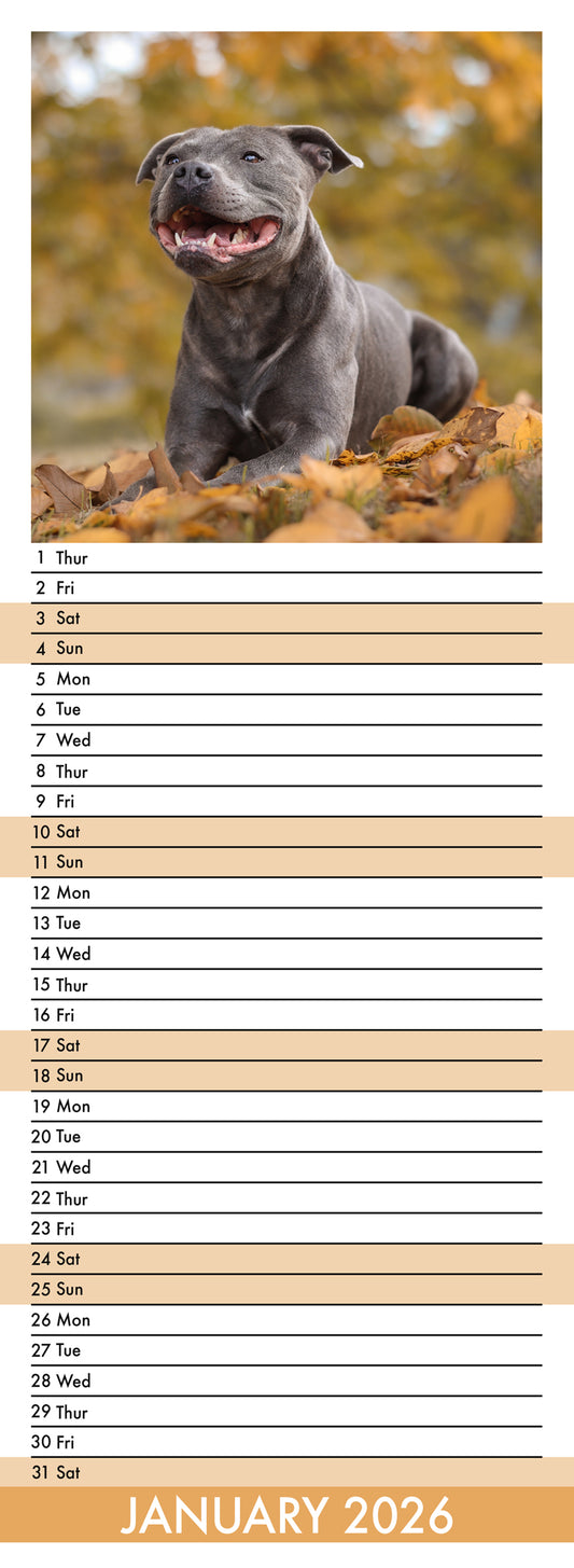 Staffordshire Bull Terrier - Slim Calendar 2026