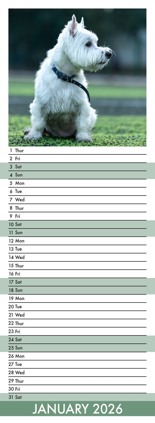 West Highland Terrier - Slim Calendar 2026