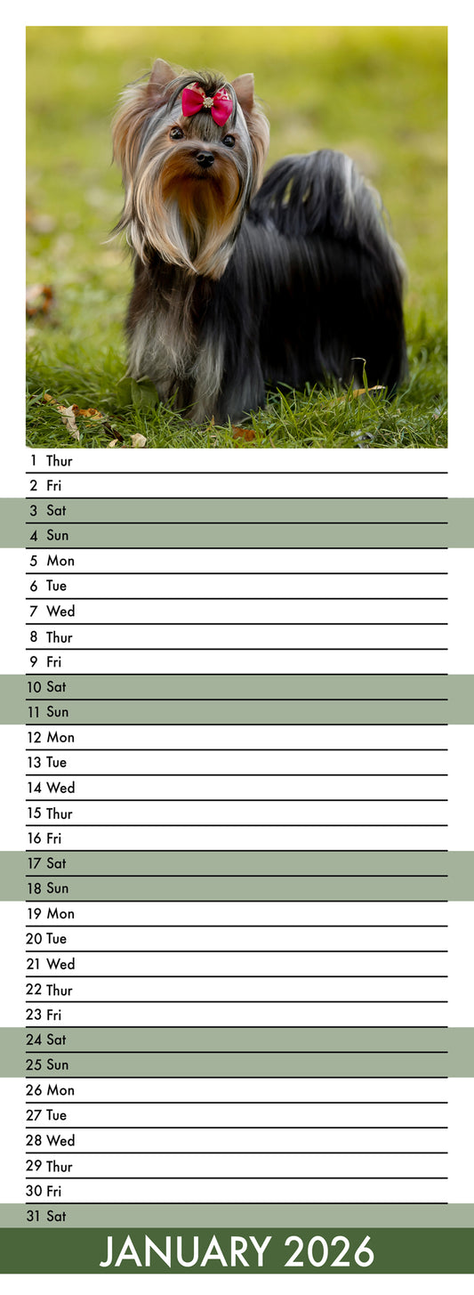 Yorkshire Terrier - Slim Calendar 2026