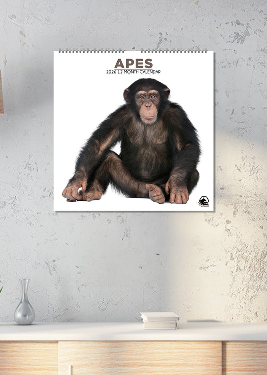 Apes - Square Calendar 2026