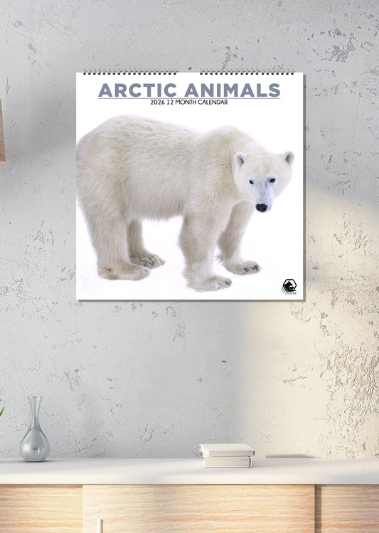 Arctic Animals - Square Calendar 2026