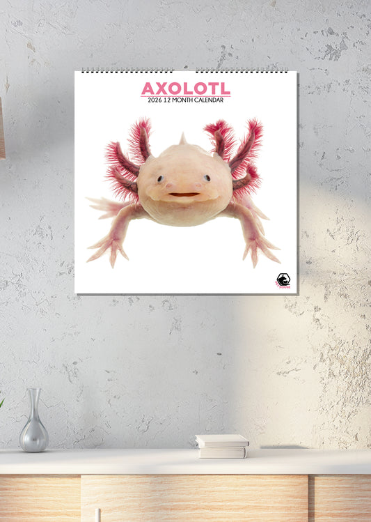 Axolotl - Square Calendar 2026