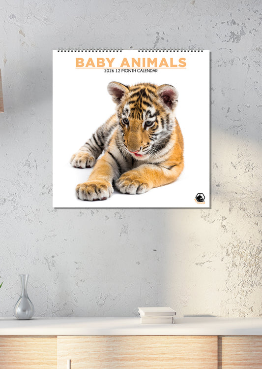 Baby Animals - Square Calendar 2026