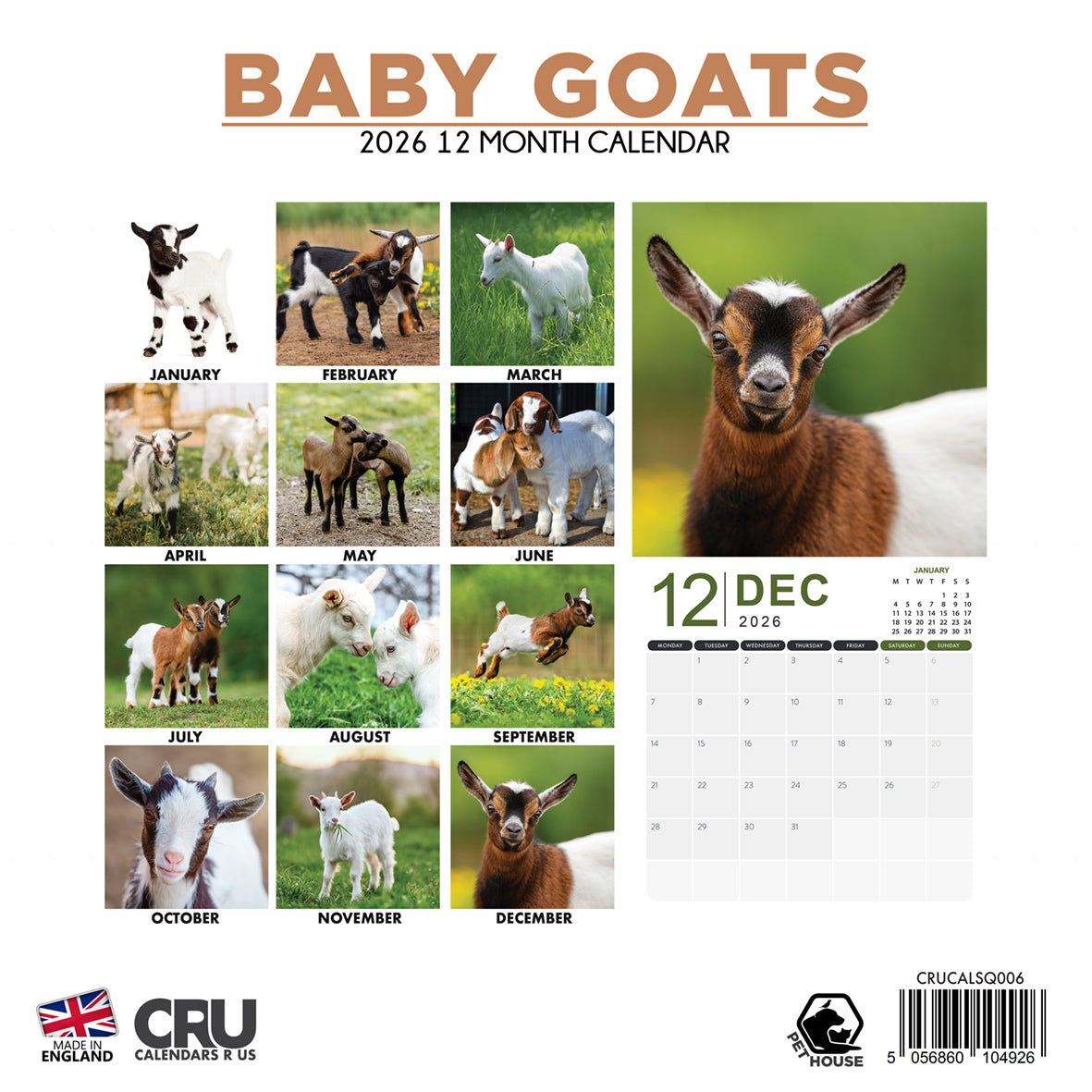 Baby Goats - Square Calendar 2026