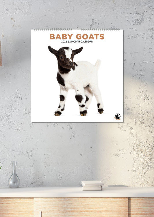 Baby Goats - Square Calendar 2026