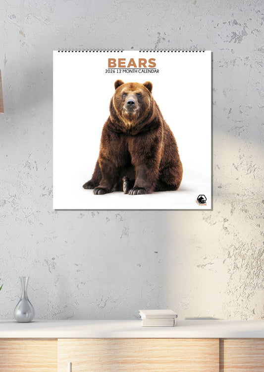 Bears - Square Calendar 2026