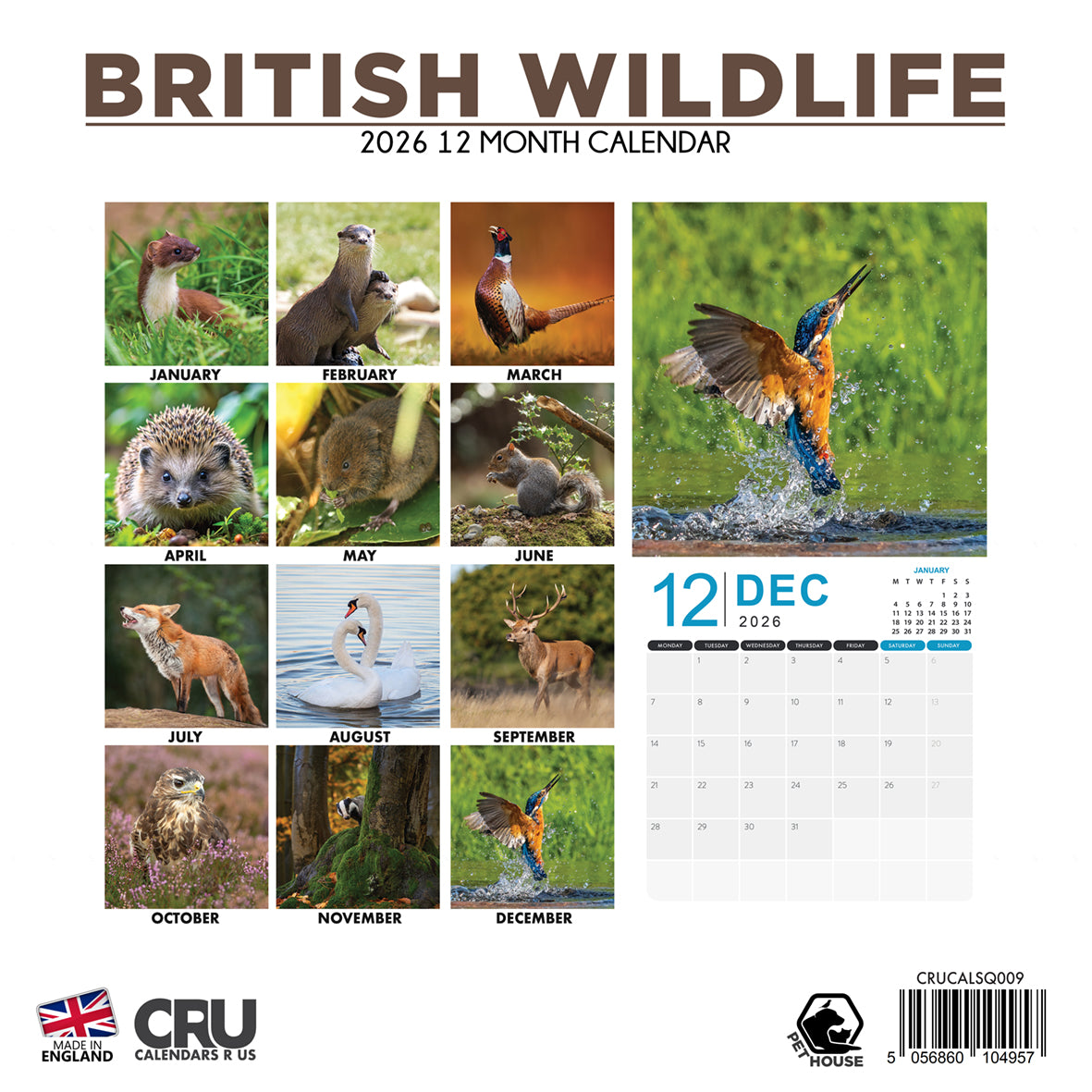British Wildlife - Square Calendar 2026