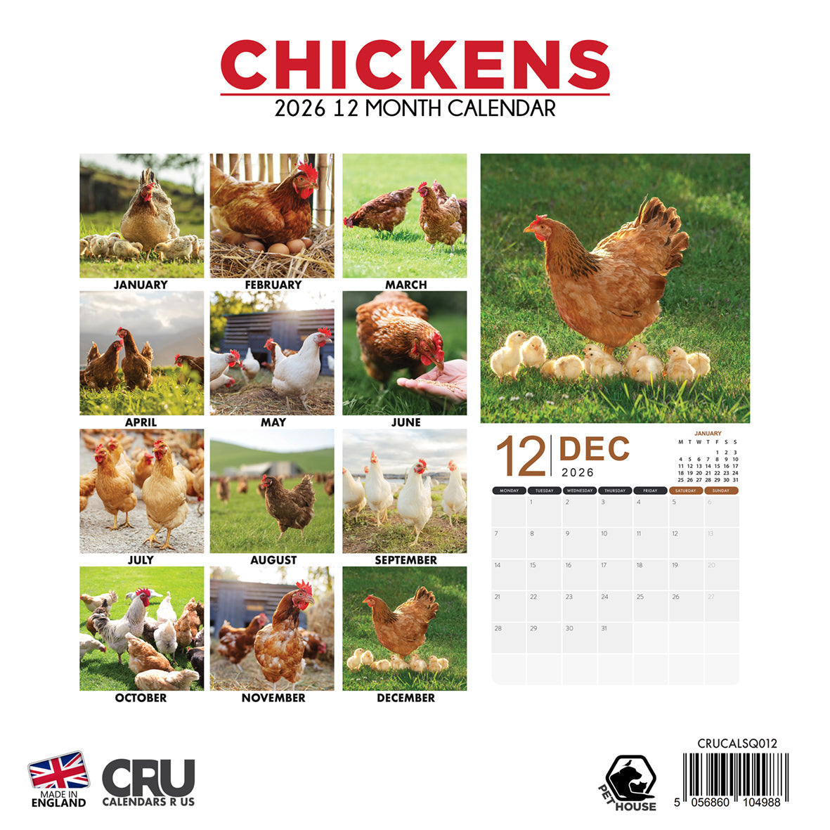 Chickens - Square Calendar 2026