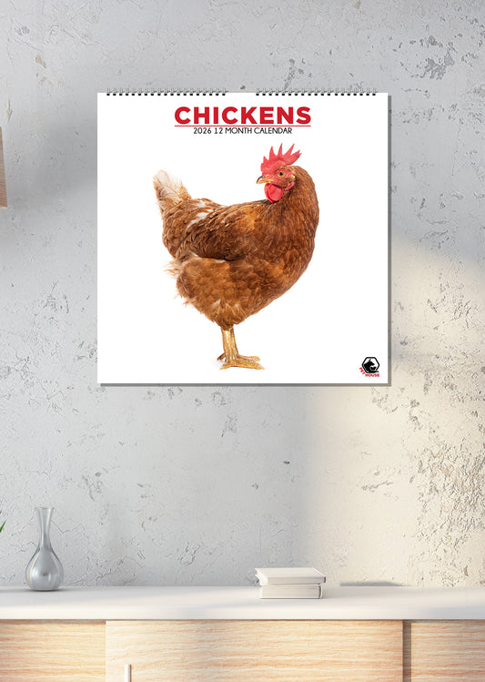 Chickens - Square Calendar 2026