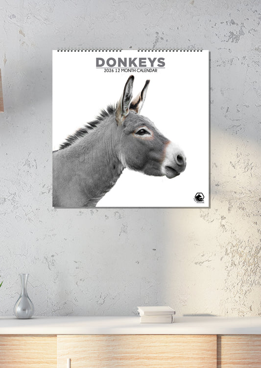 Donkeys - Square Calendar 2026