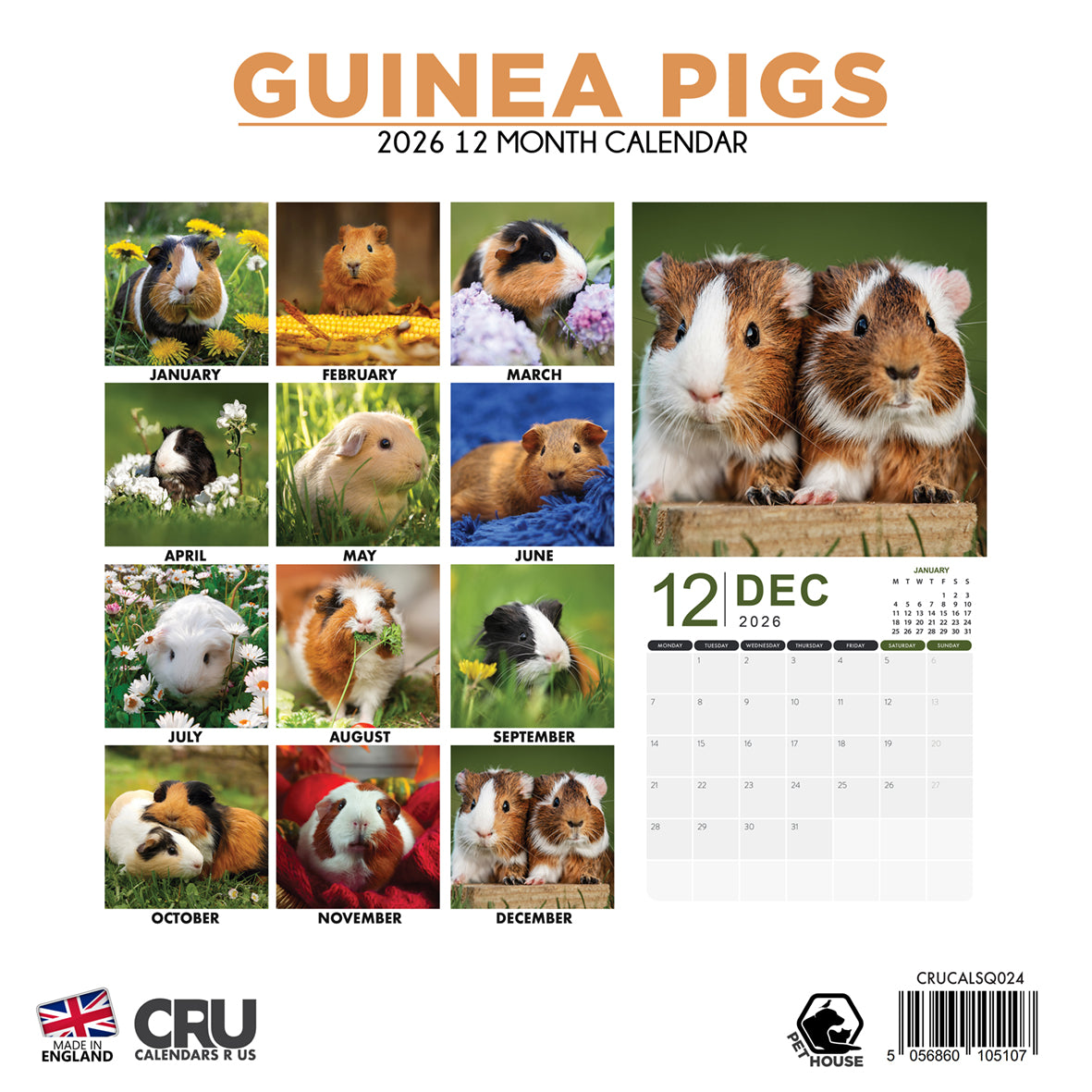 Guinea Pigs - Square Calendar 2026