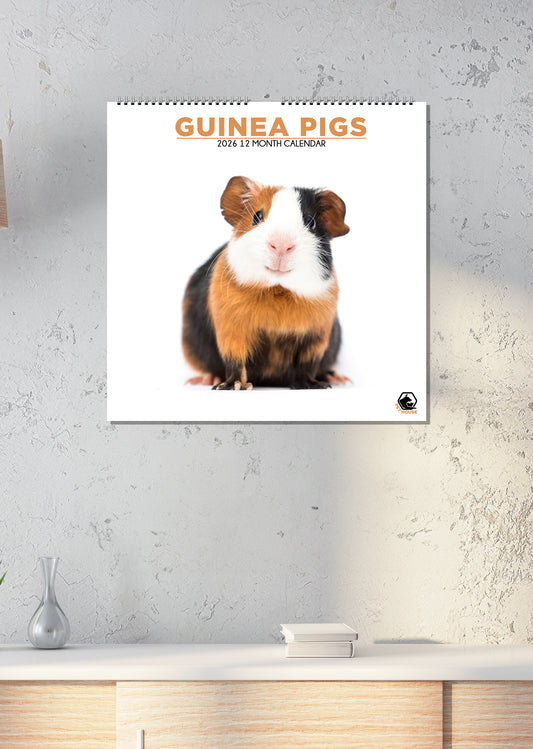 Guinea Pigs - Square Calendar 2026