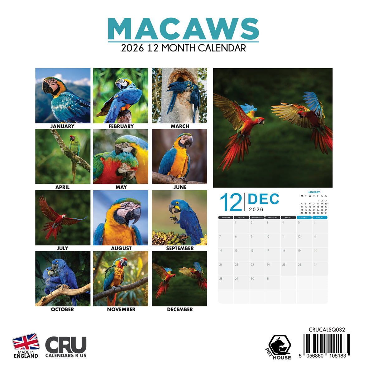 Macaws - Square Calendar 2026