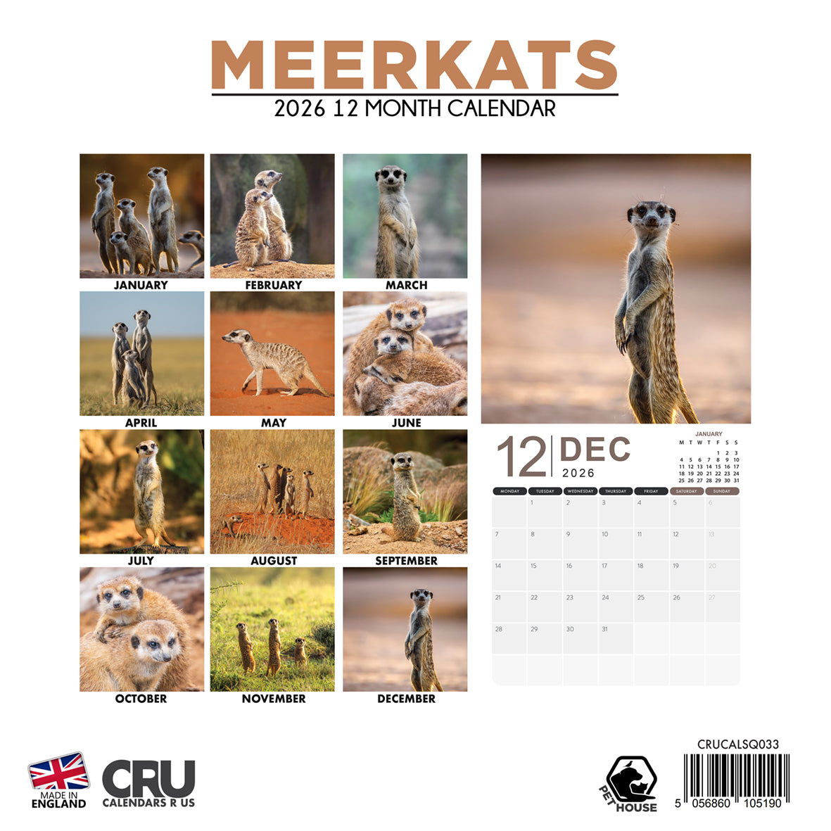 Meerkats - Square Calendar 2026
