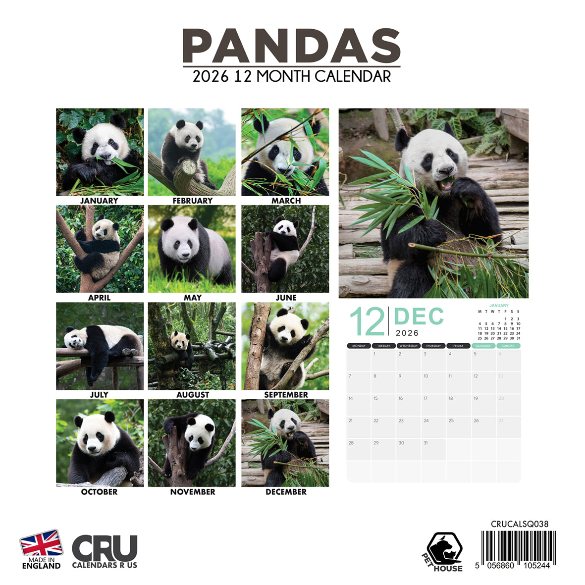 Pandas - Square Calendar 2026