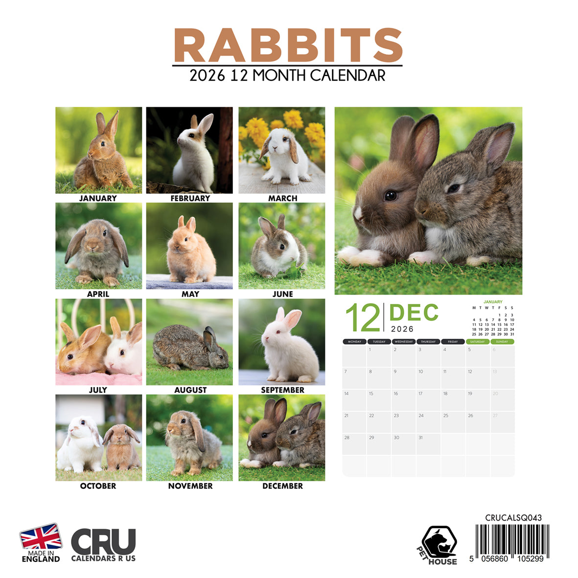 Rabbits - Square Calendar 2026