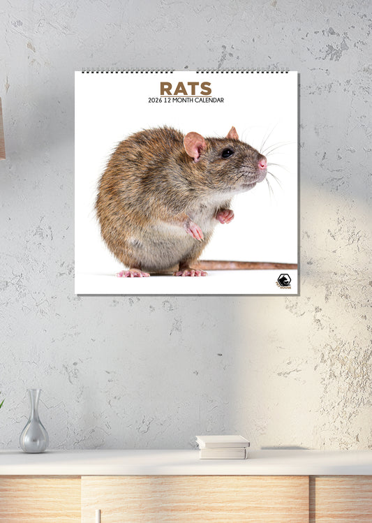 Rats - Square Calendar 2026
