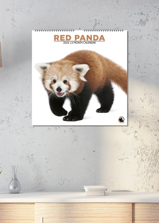 Red Pandas - Square Calendar 2026