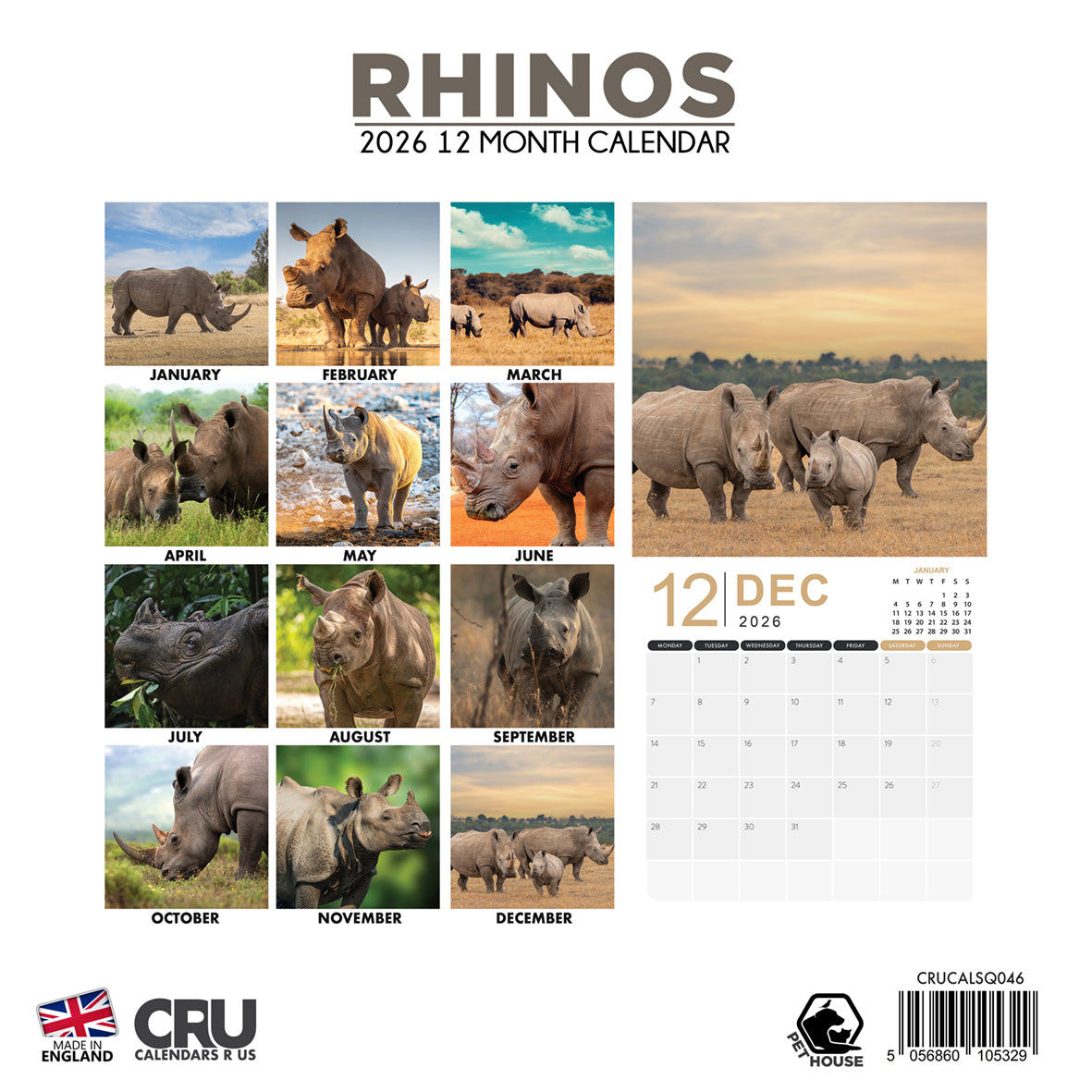Rhinos - Square Calendar 2026